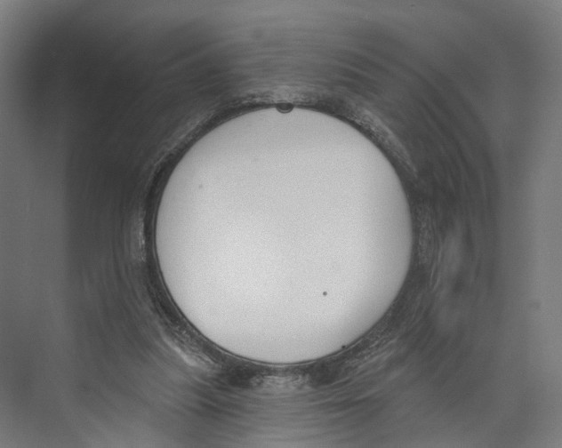 X0000073870251200609071706