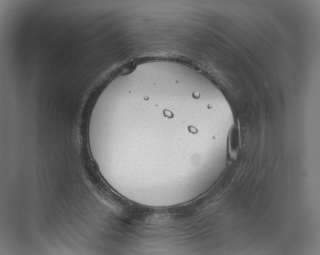 X0000073870252200609071706