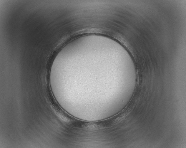 X0000073870253200609071706