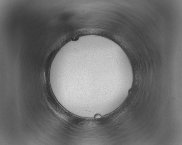 X0000073870254200609071706