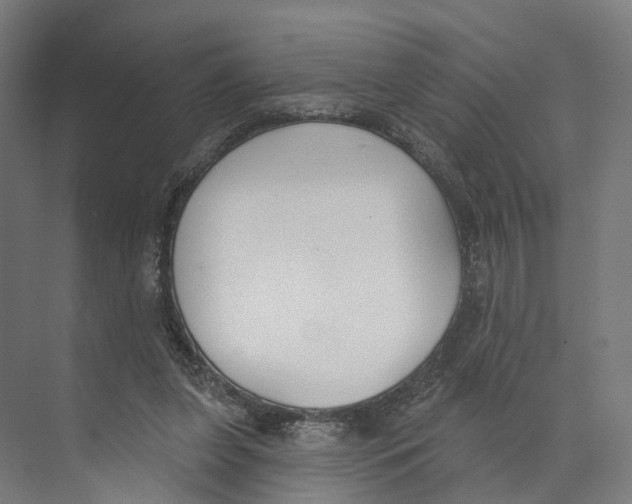 X0000073870255200609071706