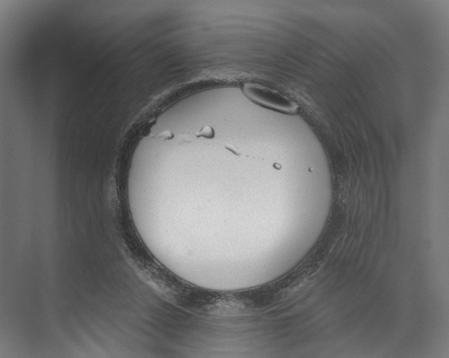 X0000073870256200609071706