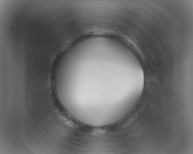 X0000073870257200609071706