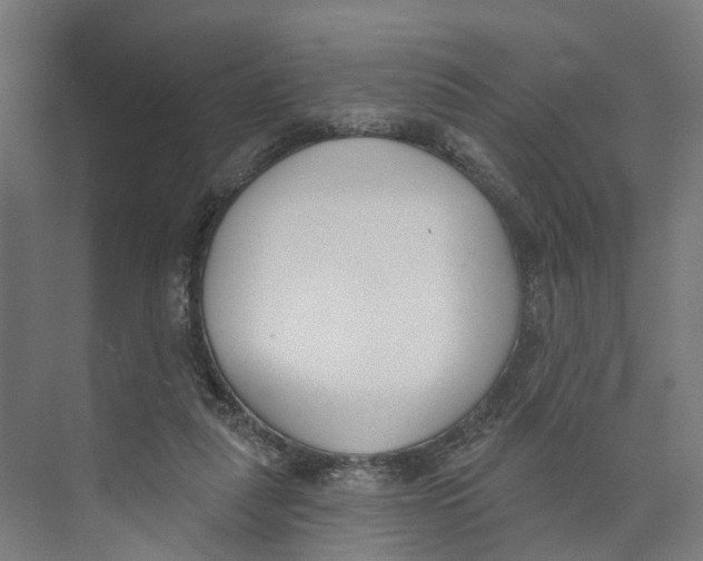 X0000073870259200609071706