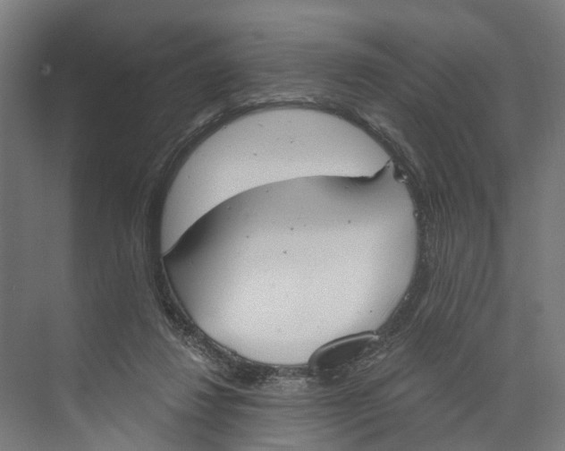 X0000073870260200609071706