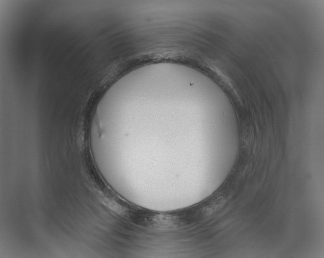 X0000073870261200609071706