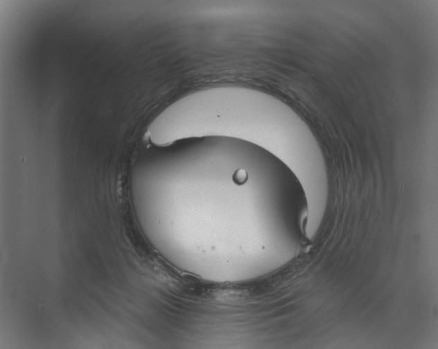 X0000073870268200609071707