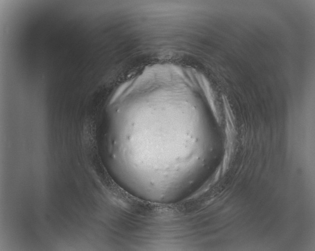 X0000073870272200609071707