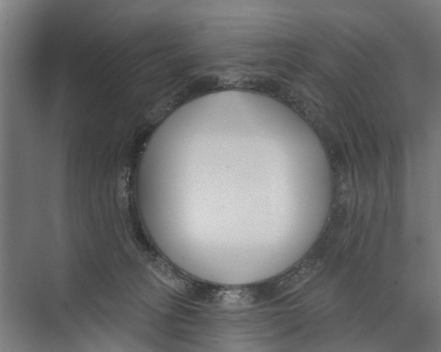 X0000073870275200609071707