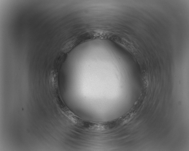 X0000073870276200609071707