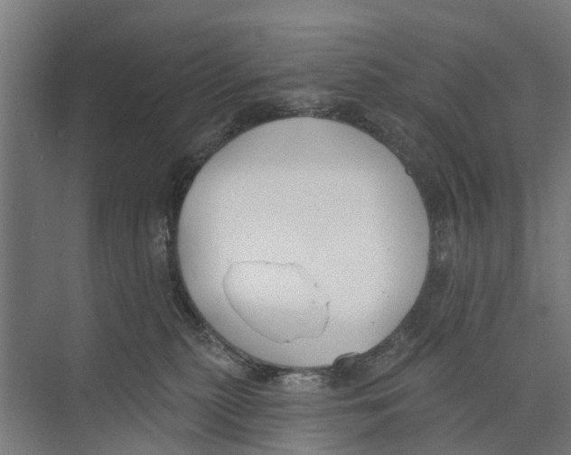 X0000073870279200609071707