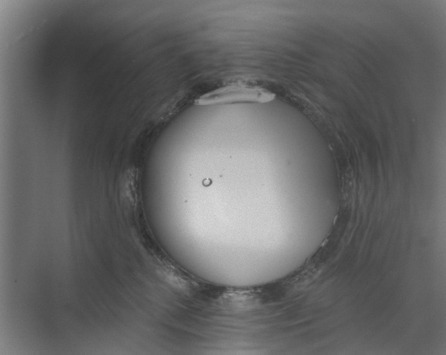 X0000073870280200609071707