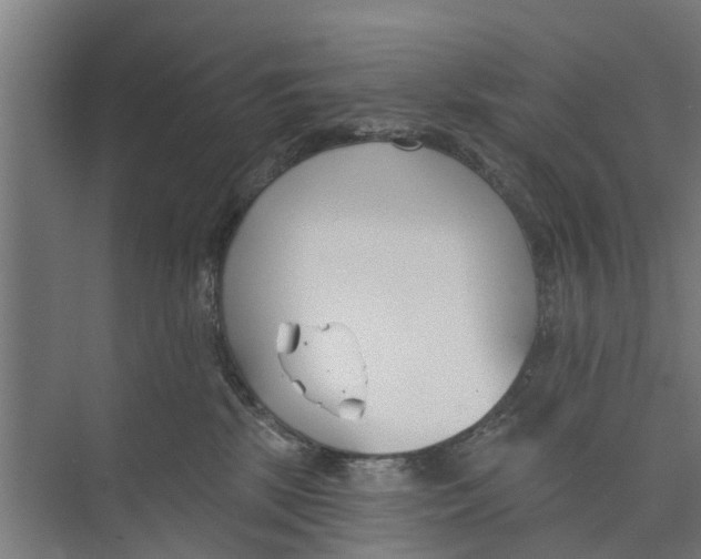 X0000073870281200609071707