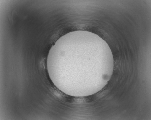 X0000073870286200609071707