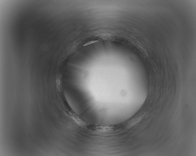 X0000073870288200609071707