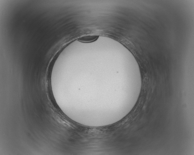 X0000073870290200609071706