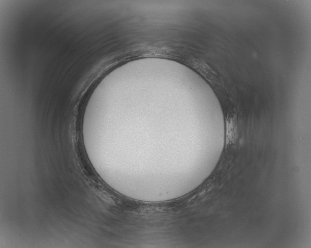 X0000073870291200609071706