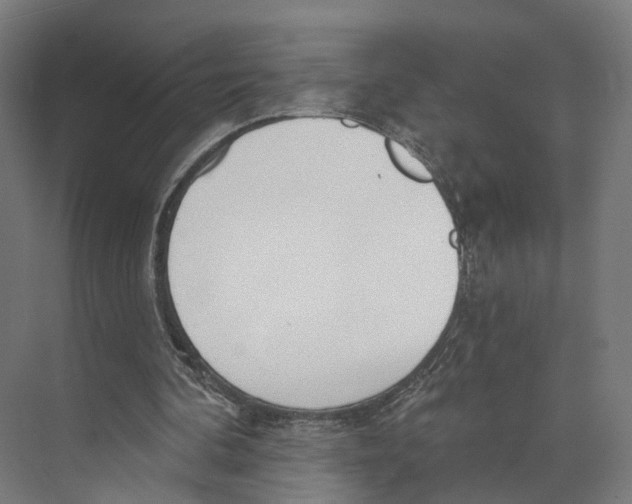 X0000073870292200609071706