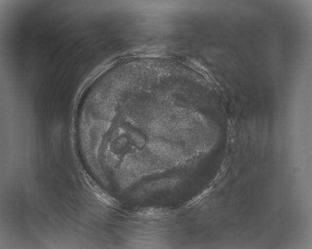 X0000073870293200609071706