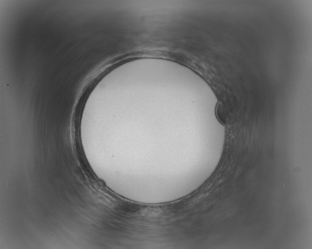 X0000073870294200609071706