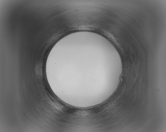 X0000073870299200609071706