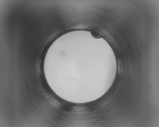 X0000073870300200609071706