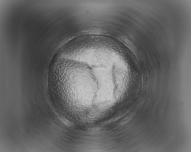 X0000073870301200609071706