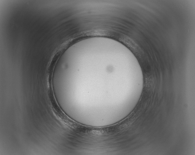 X0000073870302200609071706