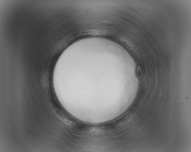 X0000073870303200609071706