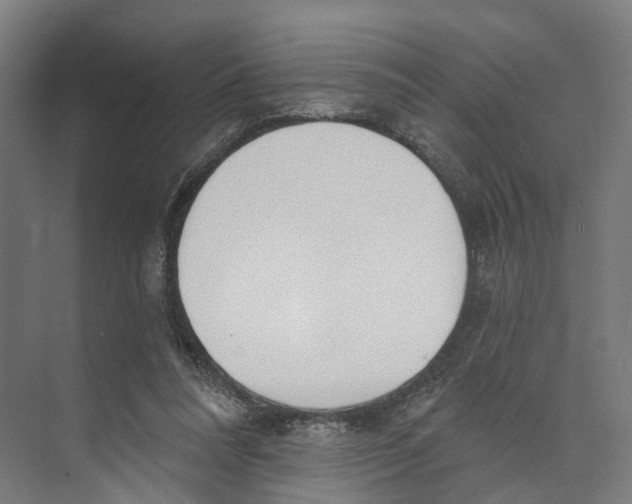 X0000073870304200609071706