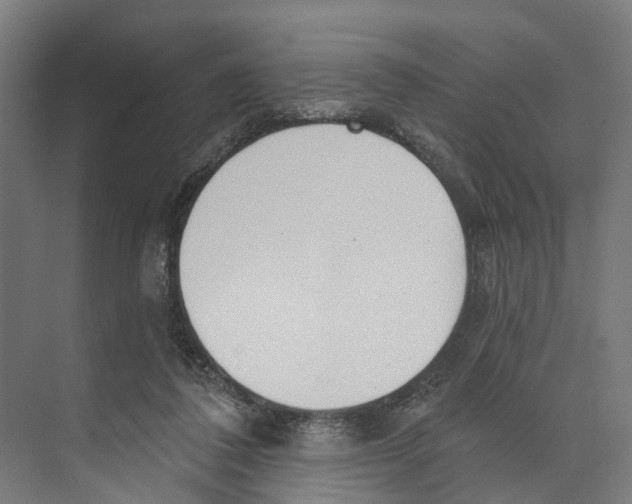 X0000073870308200609071706