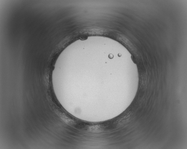 X0000073870309200609071706