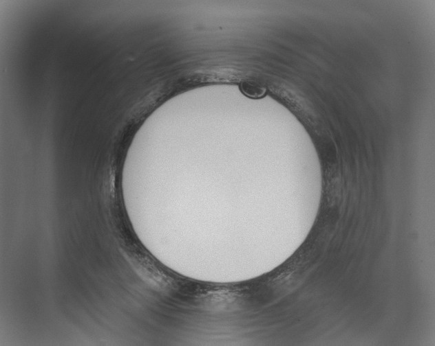 X0000073870310200609071706