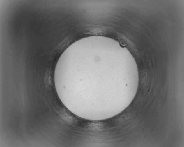 X0000073870313200609071706