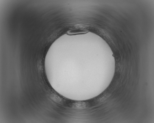 X0000073870317200609071706