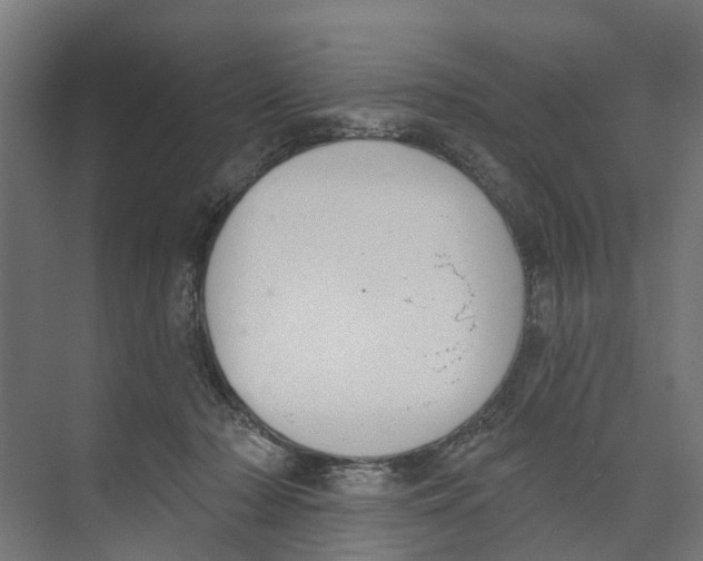 X0000073870318200609071706