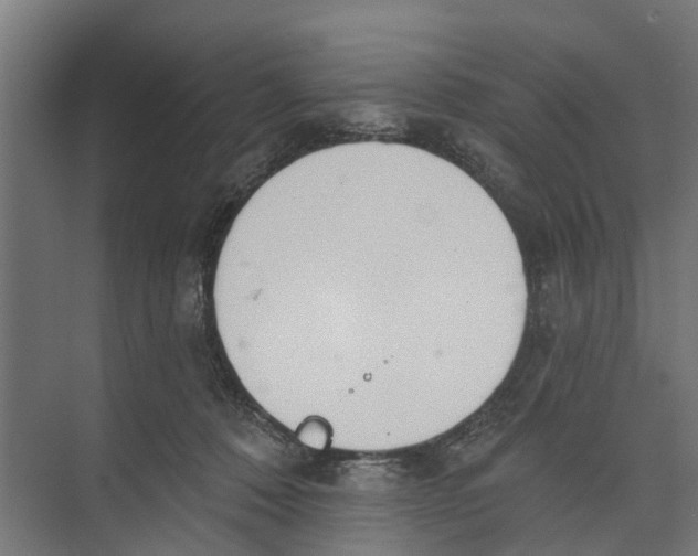 X0000073870320200609071706