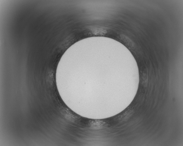 X0000073870321200609071706