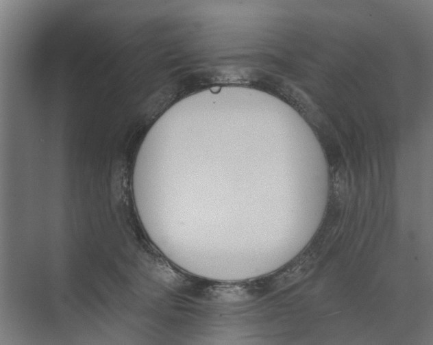 X0000073870322200609071705