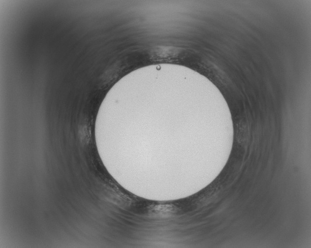 X0000073870324200609071705