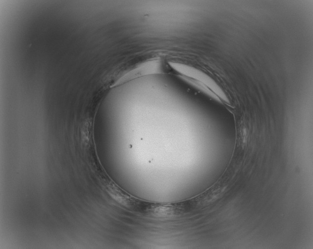 X0000073870325200609071705