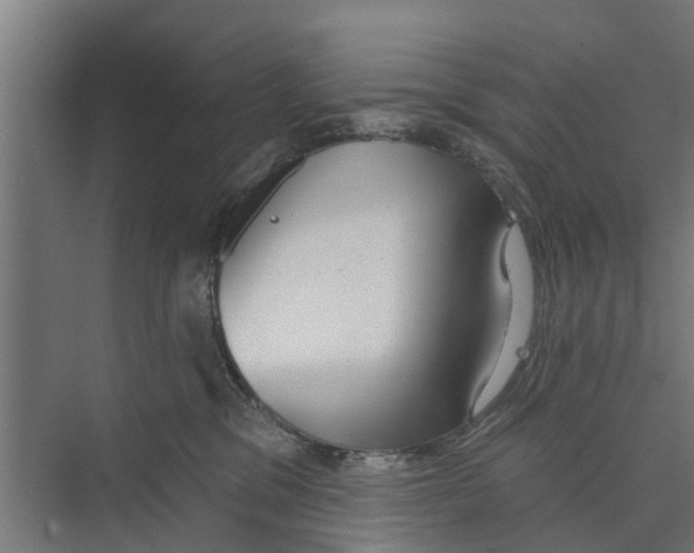 X0000073870329200609071705