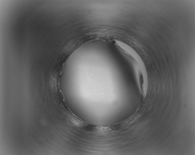 X0000073870333200609071705