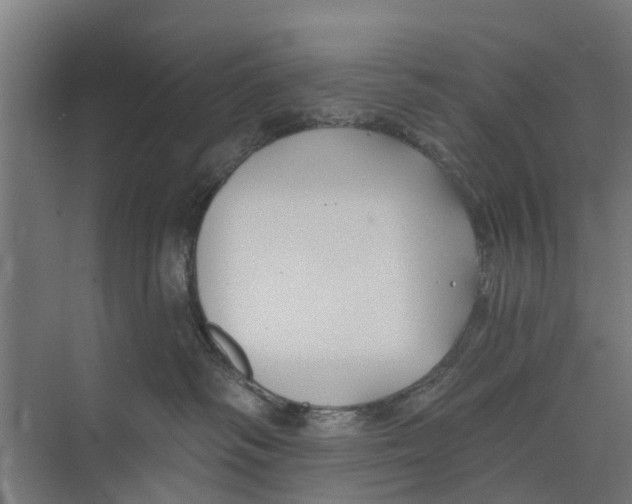 X0000073870334200609071705