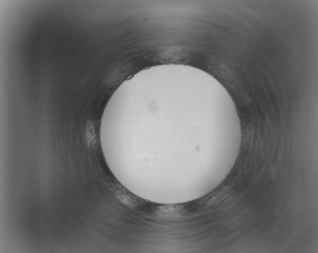 X0000073870335200609071705