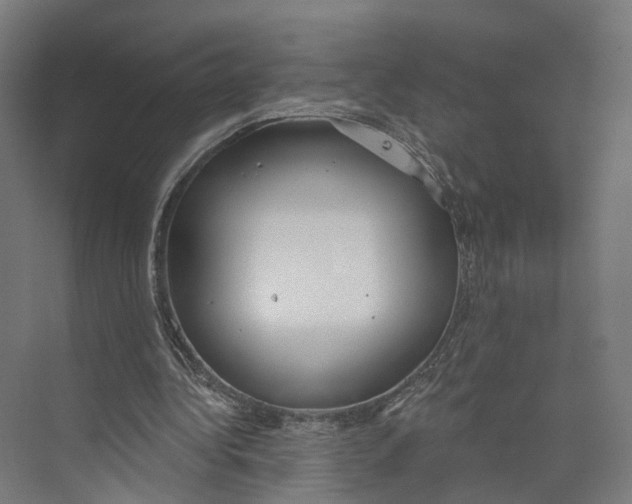 X0000073870340200609071704