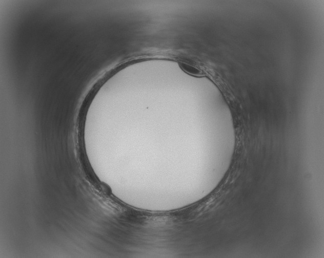 X0000073870342200609071705