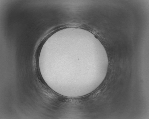 X0000073870343200609071705