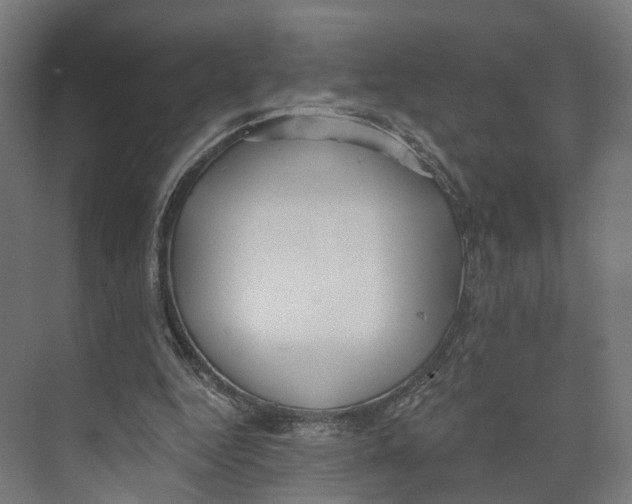 X0000073870344200609071705