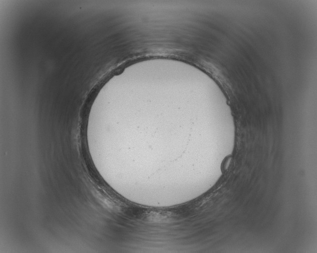 X0000073870346200609071705